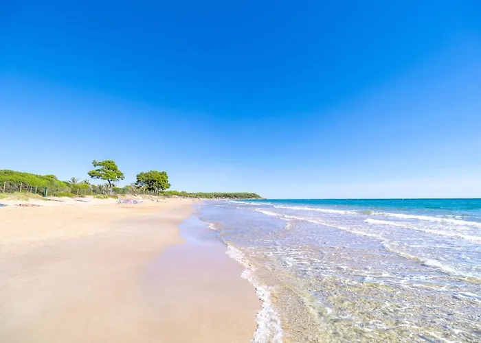 Camping Las Palmeras Tarragona